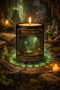 Sanctum of the Druid